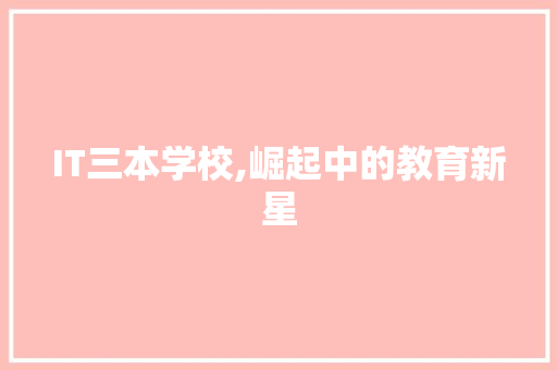 IT三本学校,崛起中的教育新星 友链在线