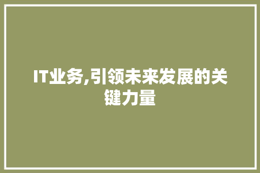 IT业务,引领未来发展的关键力量