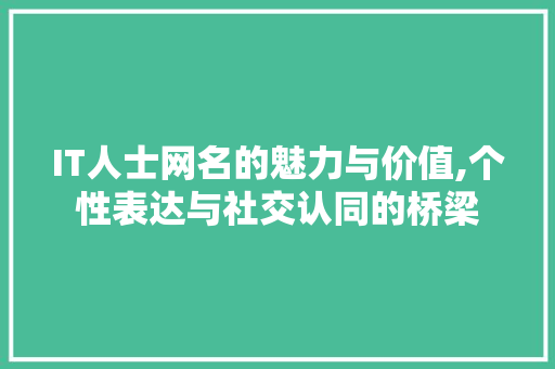 IT人士网名的魅力与价值,个性表达与社交认同的桥梁 友链在线