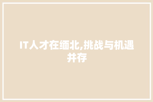 IT人才在缅北,挑战与机遇并存