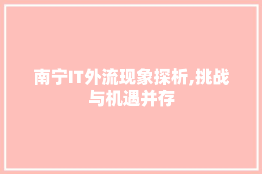 南宁IT外流现象探析,挑战与机遇并存