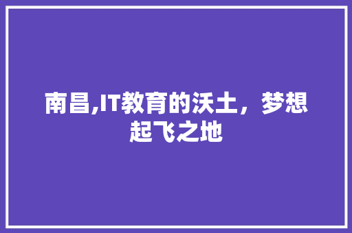 南昌,IT教育的沃土，梦想起飞之地
