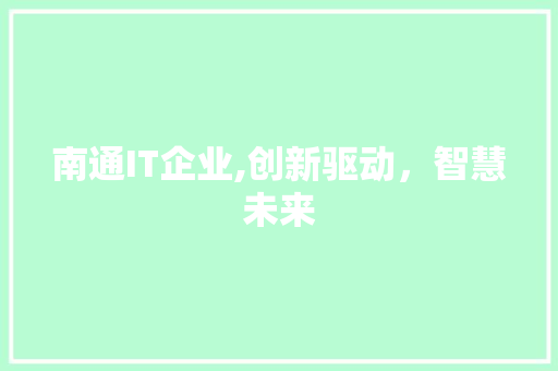 南通IT企业,创新驱动，智慧未来