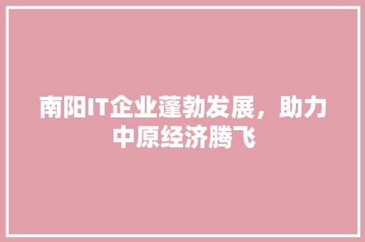 南阳IT企业蓬勃发展，助力中原经济腾飞