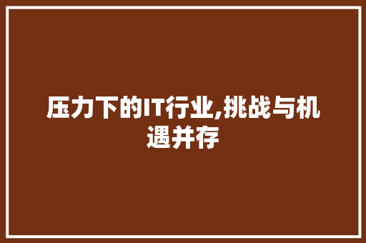 压力下的IT行业,挑战与机遇并存 WordPress教程