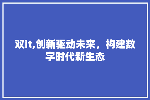 双it,创新驱动未来，构建数字时代新生态