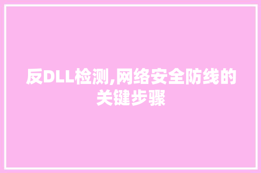 反DLL检测,网络安全防线的关键步骤