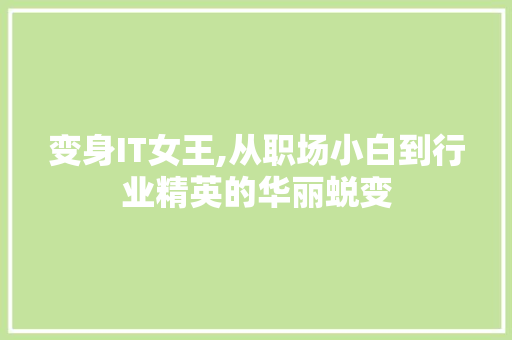变身IT女王,从职场小白到行业精英的华丽蜕变