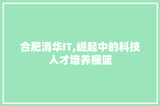 合肥清华IT,崛起中的科技人才培养摇篮