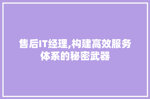 售后IT经理,构建高效服务体系的秘密武器
