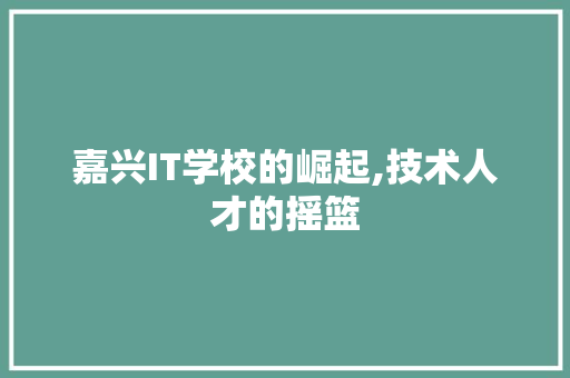 嘉兴IT学校的崛起,技术人才的摇篮