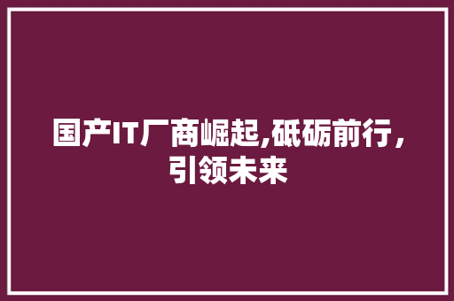 国产IT厂商崛起,砥砺前行，引领未来