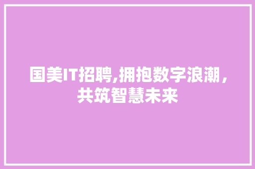 国美IT招聘,拥抱数字浪潮，共筑智慧未来