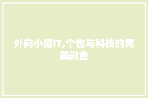 外向小猫IT,个性与科技的完美融合