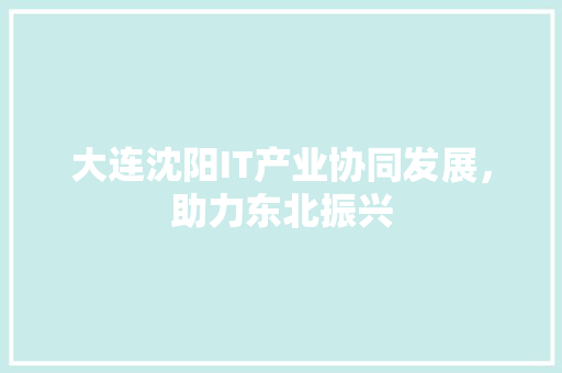 大连沈阳IT产业协同发展，助力东北振兴