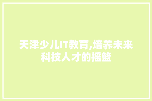 天津少儿IT教育,培养未来科技人才的摇篮