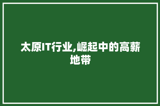 太原IT行业,崛起中的高薪地带