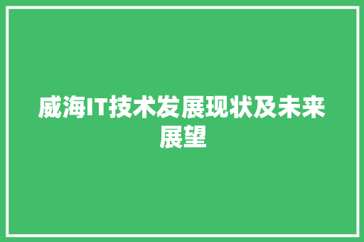 威海IT技术发展现状及未来展望 WordPress教程