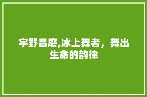 宇野昌磨,冰上舞者，舞出生命的韵律 WordPress教程