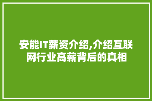 安能IT薪资介绍,介绍互联网行业高薪背后的真相 WordPress教程