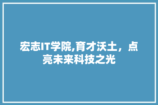 宏志IT学院,育才沃土，点亮未来科技之光 WordPress教程