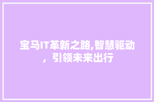宝马IT革新之路,智慧驱动，引领未来出行