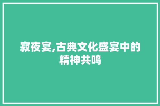 寂夜宴,古典文化盛宴中的精神共鸣 建站教程