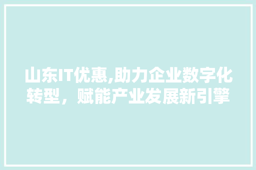 山东IT优惠,助力企业数字化转型，赋能产业发展新引擎 WordPress教程