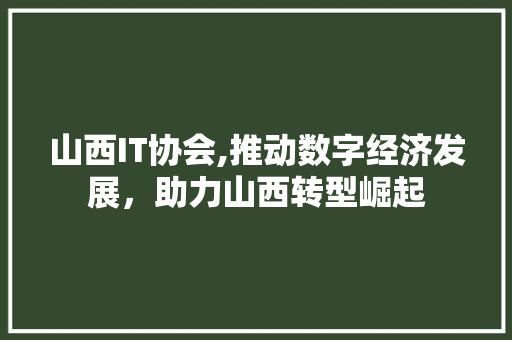 山西IT协会,推动数字经济发展，助力山西转型崛起