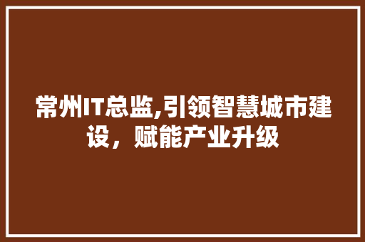 常州IT总监,引领智慧城市建设，赋能产业升级