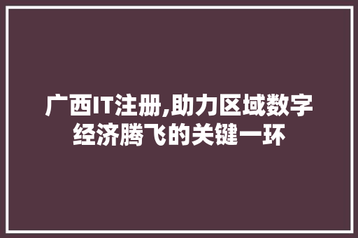 广西IT注册,助力区域数字经济腾飞的关键一环