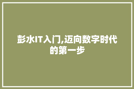 彭水IT入门,迈向数字时代的第一步