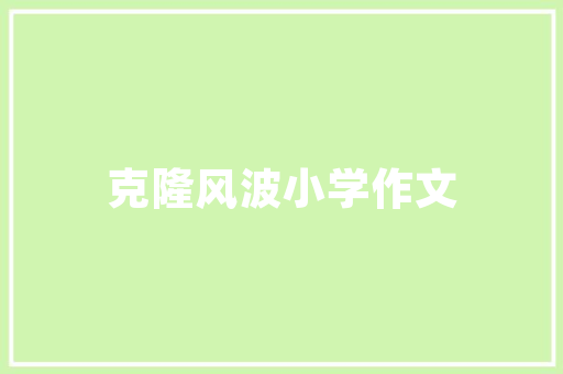 打造高效未来,介绍IT产品选购指南