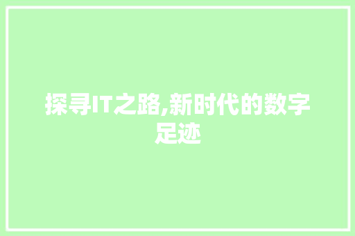 探寻IT之路,新时代的数字足迹
