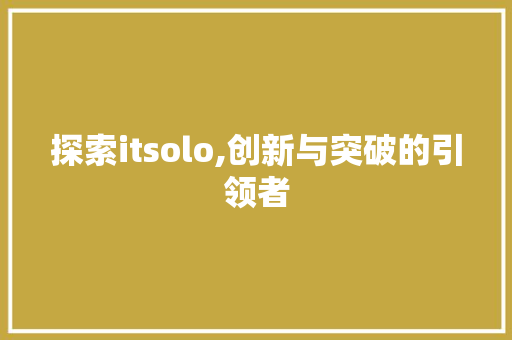探索itsolo,创新与突破的引领者 SEO教程