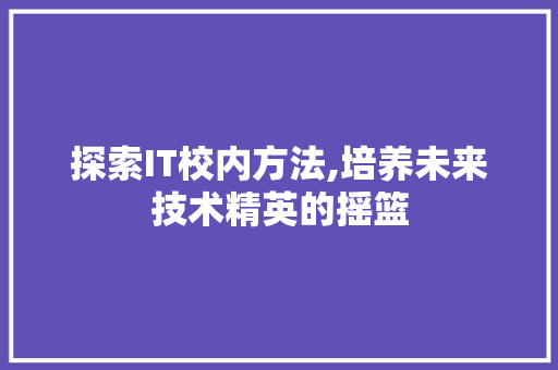 探索IT校内方法,培养未来技术精英的摇篮
