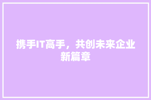携手IT高手，共创未来企业新篇章