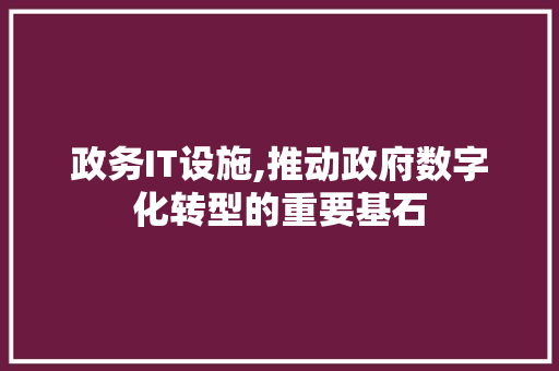 政务IT设施,推动政府数字化转型的重要基石