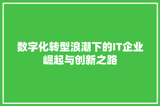 数字化转型浪潮下的IT企业崛起与创新之路