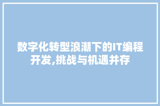 数字化转型浪潮下的IT编程开发,挑战与机遇并存