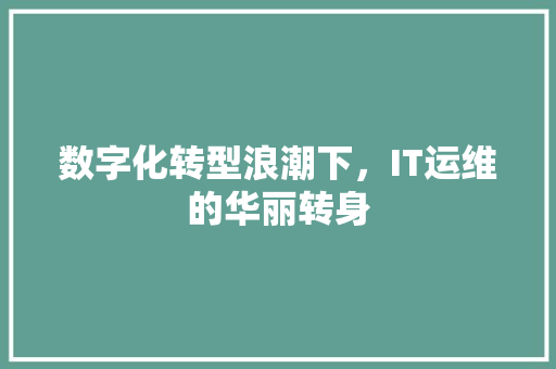 数字化转型浪潮下，IT运维的华丽转身