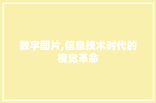数字图片,信息技术时代的视觉革命