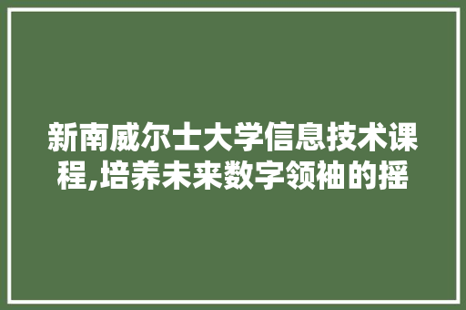 新南威尔士大学信息技术课程,培养未来数字领袖的摇篮 建站教程