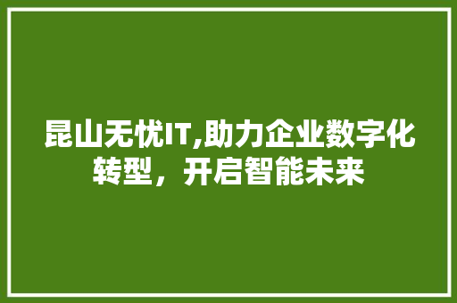 昆山无忧IT,助力企业数字化转型，开启智能未来