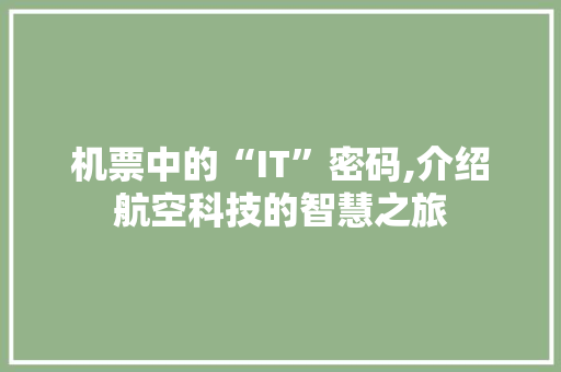 机票中的“IT”密码,介绍航空科技的智慧之旅