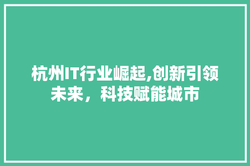 杭州IT行业崛起,创新引领未来，科技赋能城市