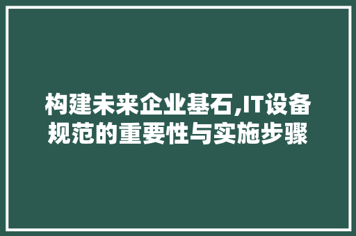 构建未来企业基石,IT设备规范的重要性与实施步骤
