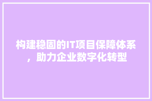 构建稳固的IT项目保障体系，助力企业数字化转型