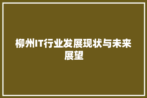 柳州IT行业发展现状与未来展望 Web前端