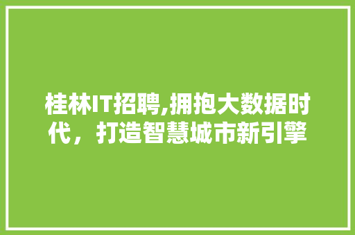 桂林IT招聘,拥抱大数据时代，打造智慧城市新引擎